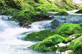Épuration des eaux usées